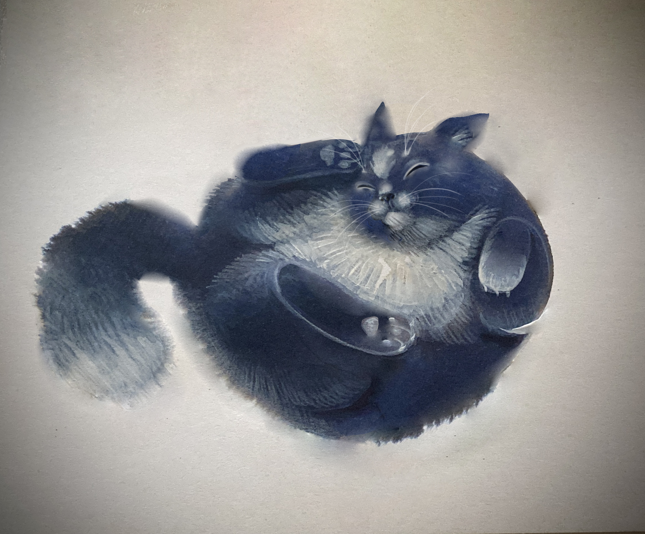 Gatto